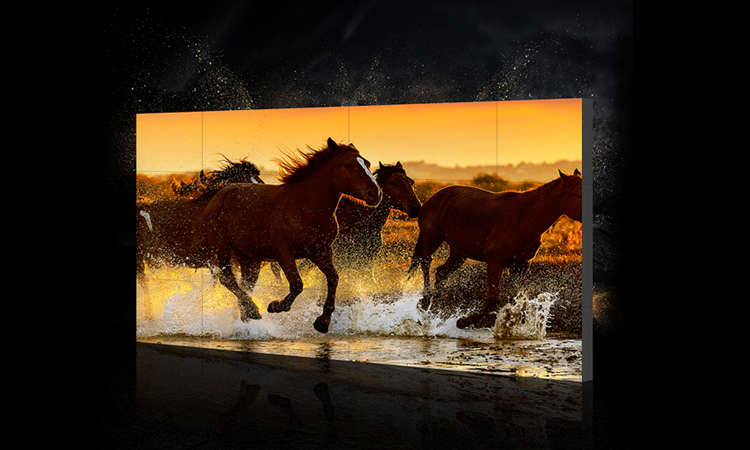 【簽約】深圳市樂華數(shù)碼科技有限公司官網(wǎng)建設(shè)