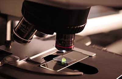 科學(xué)實(shí)驗(yàn)法