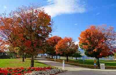 環(huán)境與治理