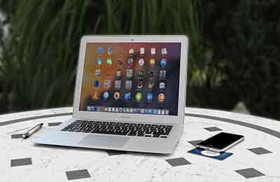 探究蝗蟲基因的克隆與表達