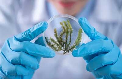 鄉(xiāng)醫(yī)生年度工作總結(jié)