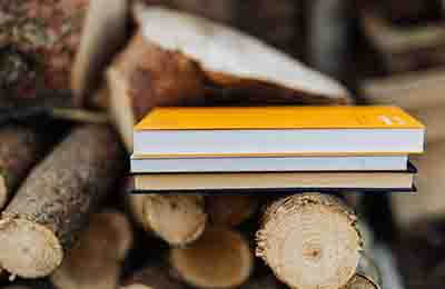 外派勞務(wù)資源現(xiàn)場(chǎng)會(huì)總結(jié)報(bào)告