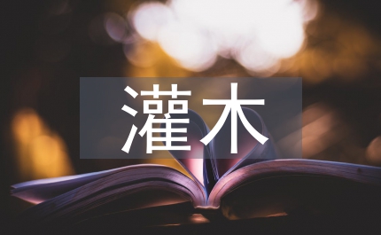 灌木在園林中的作用