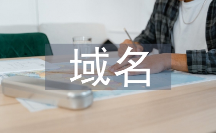 互聯(lián)網(wǎng)域名搶注探討論文