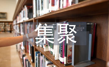 鄉(xiāng)鎮(zhèn)企業(yè)局集聚發(fā)展調(diào)研報(bào)告