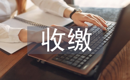 黨費(fèi)收繳標(biāo)準(zhǔn)及制度