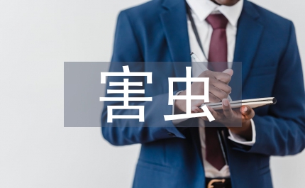 搞好楊樹(shù)害蟲(chóng)防治的通知