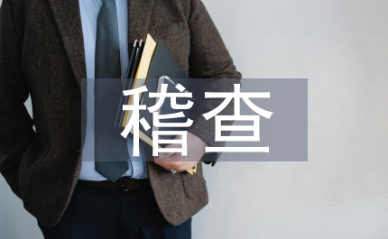 國稅局稽查分局副局長事跡材料