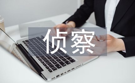 鳥(niǎo)兒的偵察報(bào)告