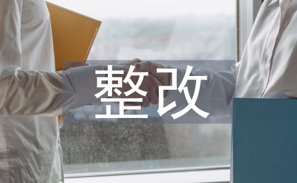 自查整改剖析材料