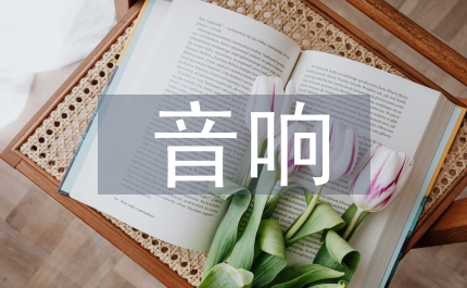 管窺音響面殼模具設(shè)計(jì)