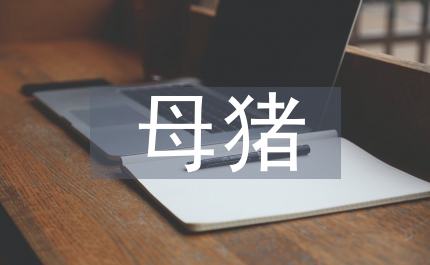 做好能繁母豬保險(xiǎn)通知