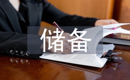 儲(chǔ)備店長實(shí)習(xí)匯報(bào)