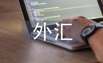 外匯風(fēng)險(xiǎn)分析