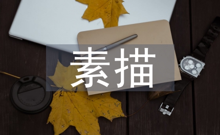美術(shù)設(shè)計(jì)素描教學(xué)
