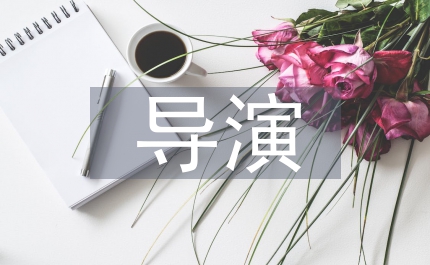 導(dǎo)演自我總結(jié)