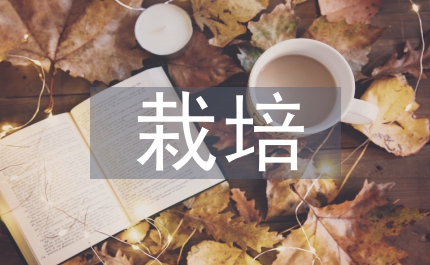 花椒栽培農(nóng)藝思考