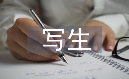 風(fēng)景寫(xiě)生管理