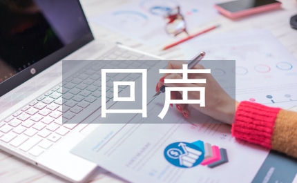 回聲語文教案