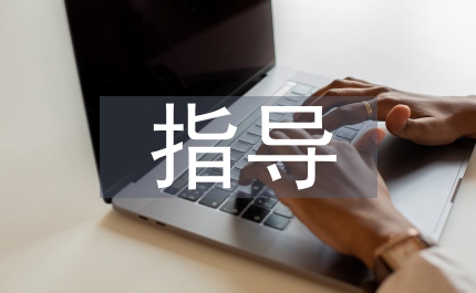 畢業(yè)論文指導(dǎo)記錄