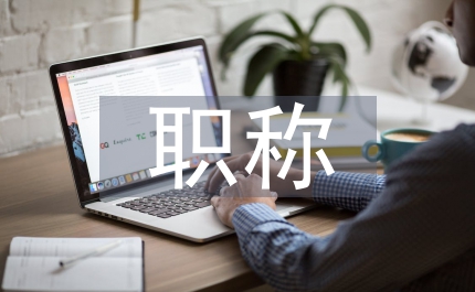 廣電局職稱評估個(gè)人總結(jié)