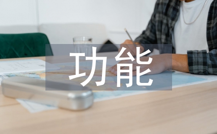 村級(jí)班子整體功能實(shí)踐