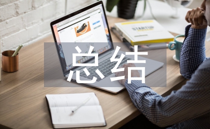 補(bǔ)充醫(yī)療保險(xiǎn)總結(jié)