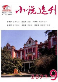 小說選刊雜志