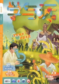 學(xué)與玩雜志