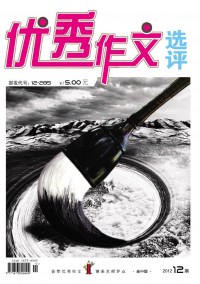 優(yōu)秀作文選評(píng)·高中版雜志