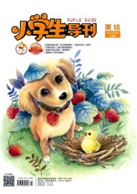 小學(xué)生導(dǎo)刊·低年級(jí)