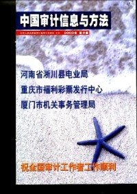 中國(guó)審計(jì)信息與方法