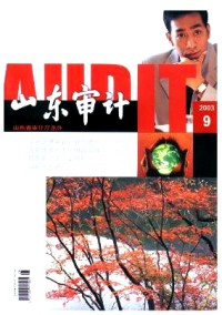 山東審計(jì)雜志