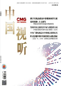 中國視聽雜志