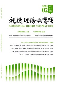 視聽(tīng)理論與實(shí)踐雜志